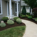 Spring Cleanup Landscaping Service